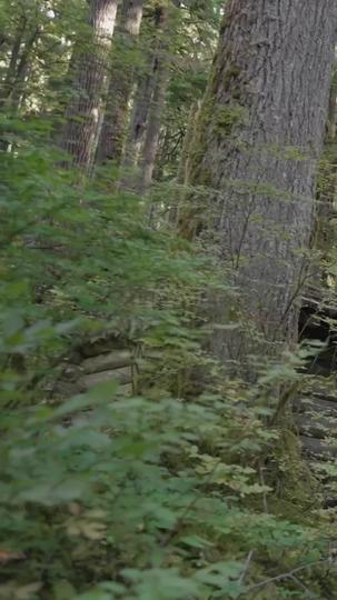 Sinful Triangle With Alpha's Twin Mates Episode 3