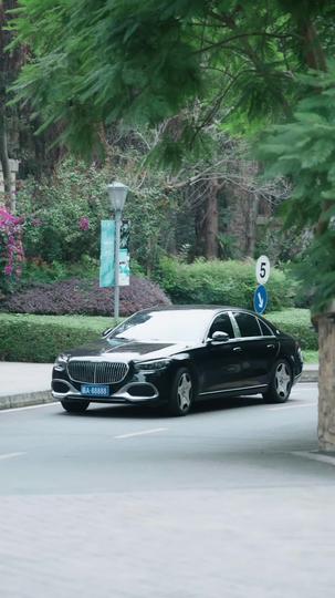 飒美董事长整顿职场 第1集