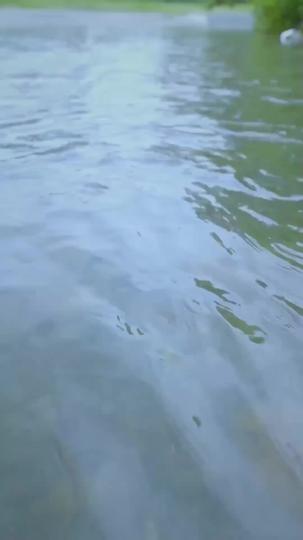 Revenge After Death Episode 3