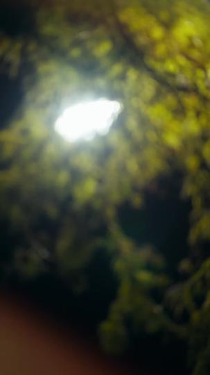 黑白原來是真的 第6集