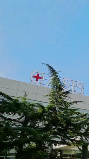 Pregnant With My Infertile Alpha King Episode 1