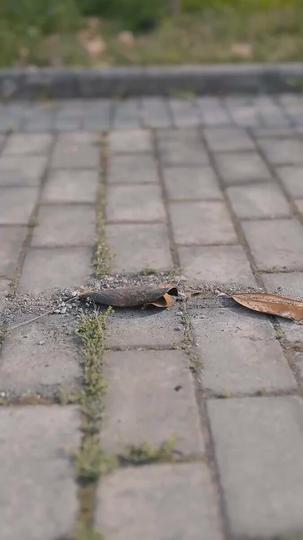 El general invencible: En la cima del poder Episodio 6