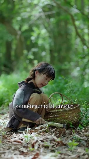 โชคลาภพาหนูมาหาแม่ ที่1ตอน