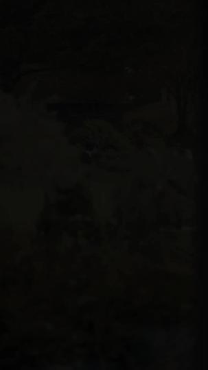 The Billionaire's Second Wife Episode 8