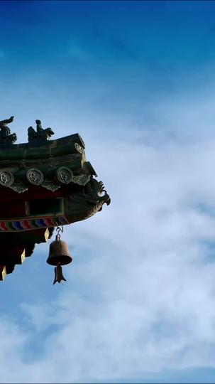 別惹，這個皇帝路子野 第7集