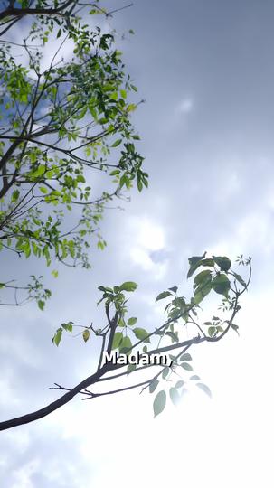 The Bride with a Secret Past Episode 6