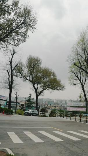 頂流愛豆的倒帶人生 第2集