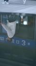 Fatebreaker: Return of the Immortal 第1集