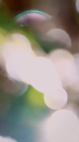 Presa ao Meu Perigoso Marido da Máfia 6Episódio