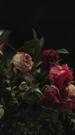 Episodes 25