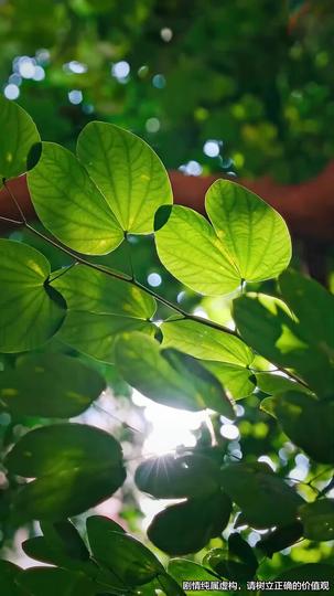 Out of the Asylum, Into Their Hell Episode 5