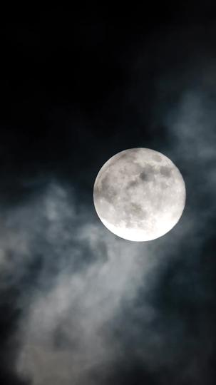 Vampire's Temptation，Alpha's Obsession Episode 2