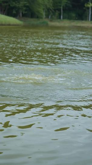 前妻别回头，我绝症了 第6集