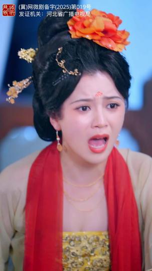 韶华倾负 第11集