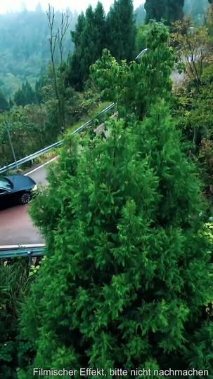 Gott in Lumpen: Wenn Arroganz auf wahre Macht trifft (Deutsch Synchronisiert) 1Folgen