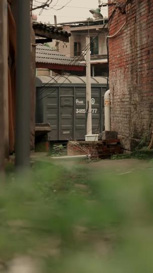 دواء الحياة 1مجموعة