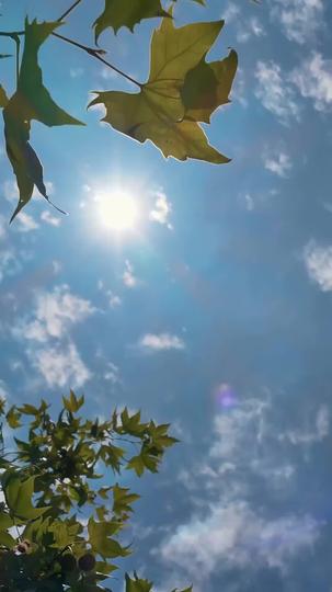 وريث الأسرار: عالم الغيب 2مجموعة