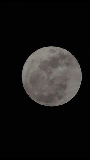 Stitches of Regret: The Mistaken Heartbeat Episode 7