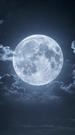 After I Remarried, My Wolf Men Brothers Went Mad Episode 1