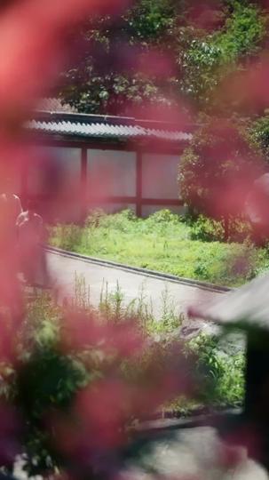 The Spring He Let Slip Away Episode 5