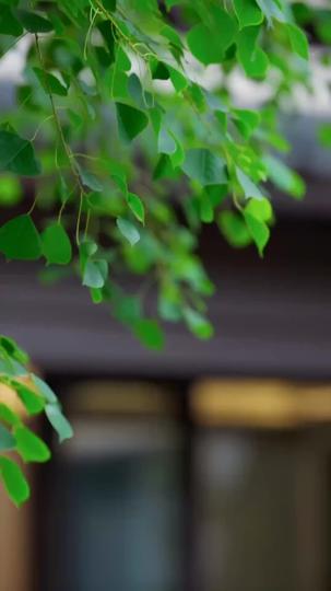 三刀痕,舊情燼 第4集