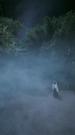 Episodes 53