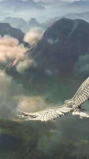 武道争锋 第1集