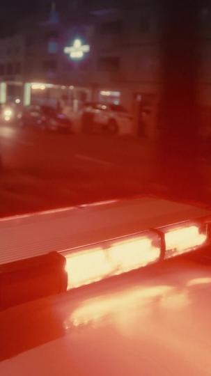 Love Mission: Got You My Mafia Master! Episode 2