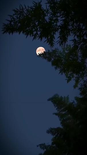 Don't Look Under the Bed Episode 1