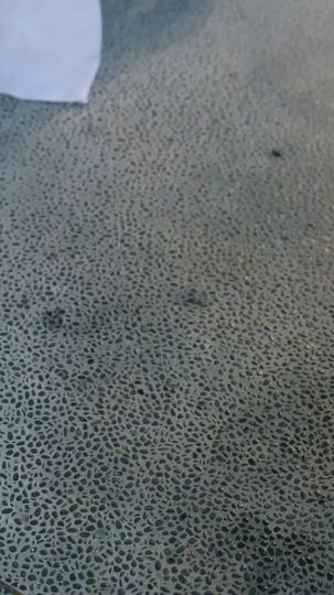 Face of My Beloved, Heart of a Stranger Episode 11