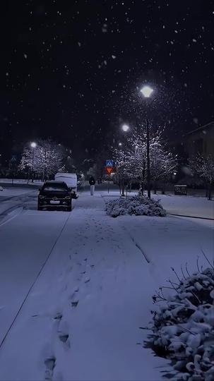 Marido Dono da Razão? Casei com Meu Superprotetor! 1Episódio