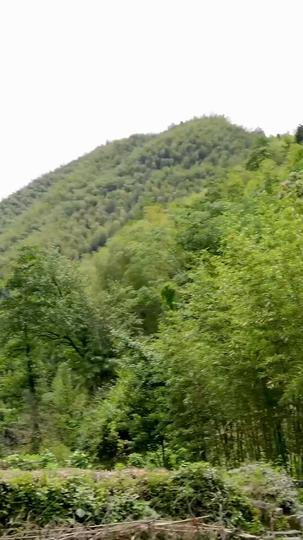 Beyond Blood: The Love That Shapes Us Episode 4