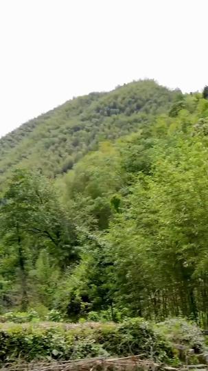 Beyond Blood: The Love That Shapes Us Episode 4