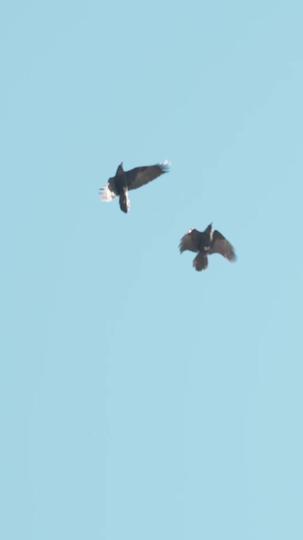 朝暮与共至春晚 第1集