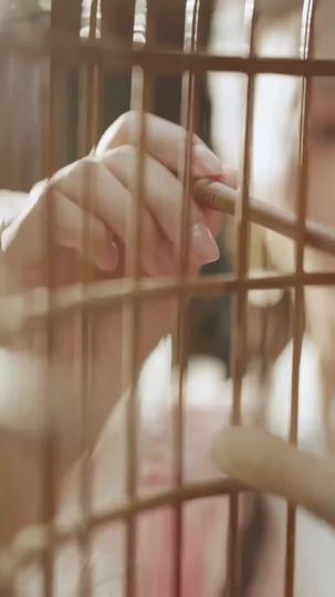 Thorns and Thrones: Her Rise Amid Shadows Episode 1