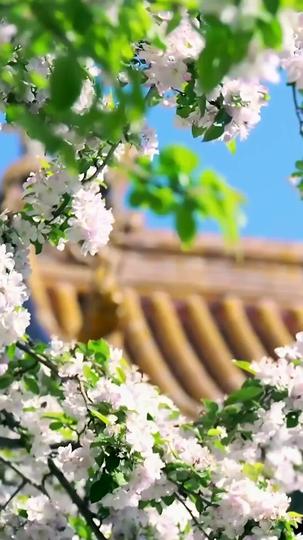 Timeless Love: From Embalmer to Princess Episode 7