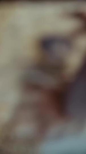 梔寂山河，亂世情賒 第9集