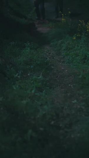 تأسيس عائلة من ركام الماضي (مدبلج) 11مجموعة