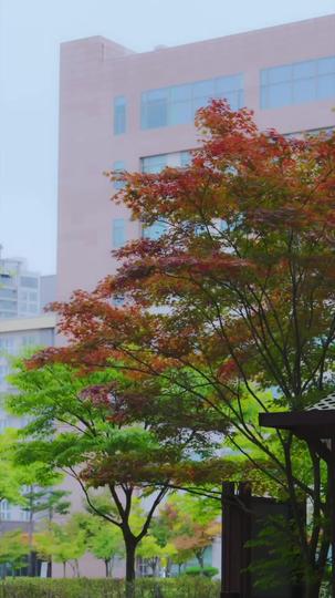 18세 증조할머님,가문을 뒤흔들다! 제4회