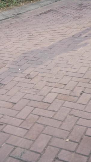 Señorita, te he esperado por tanto tiempo Episodio 11