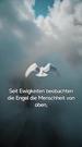 1Folgen