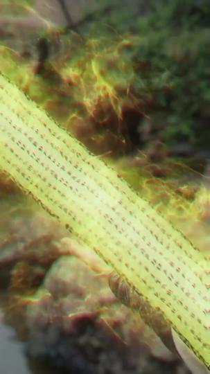 Unfading Flame: Rising to Greatness Episode 4