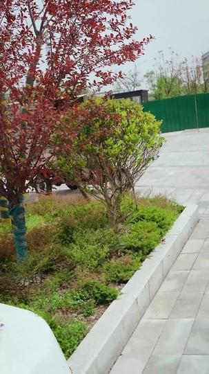 うちの貧乏親はワケありです 第 2 話