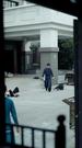 剧集数 53