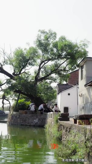 神泉仙农 第3集