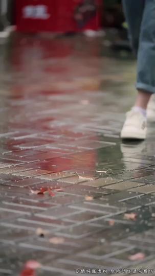 Shadow Pursuit: Unraveling the Facade Episode 3