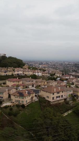 Shelter in the Mafia Episode 9