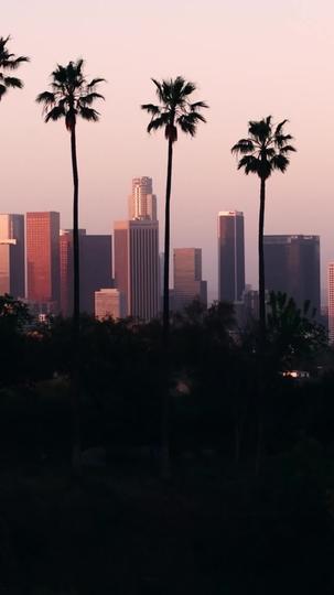  A Sweet Contract with the Mafia Boss Episode 9