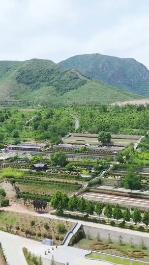 Backtrack: A Race Against Regret Episode 1