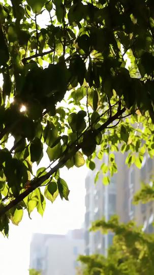 Code of Revenge: Your Lies Exposed Episode 4